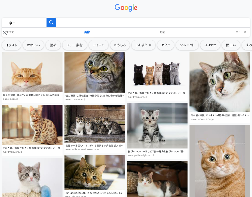 CasperJSを使ってグーグルで画像検索したスクリーンショットです